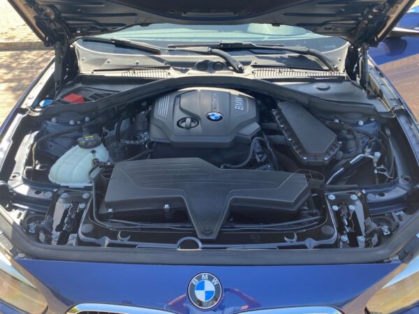 BMW 116 d Line Luxury Auto - Image 12